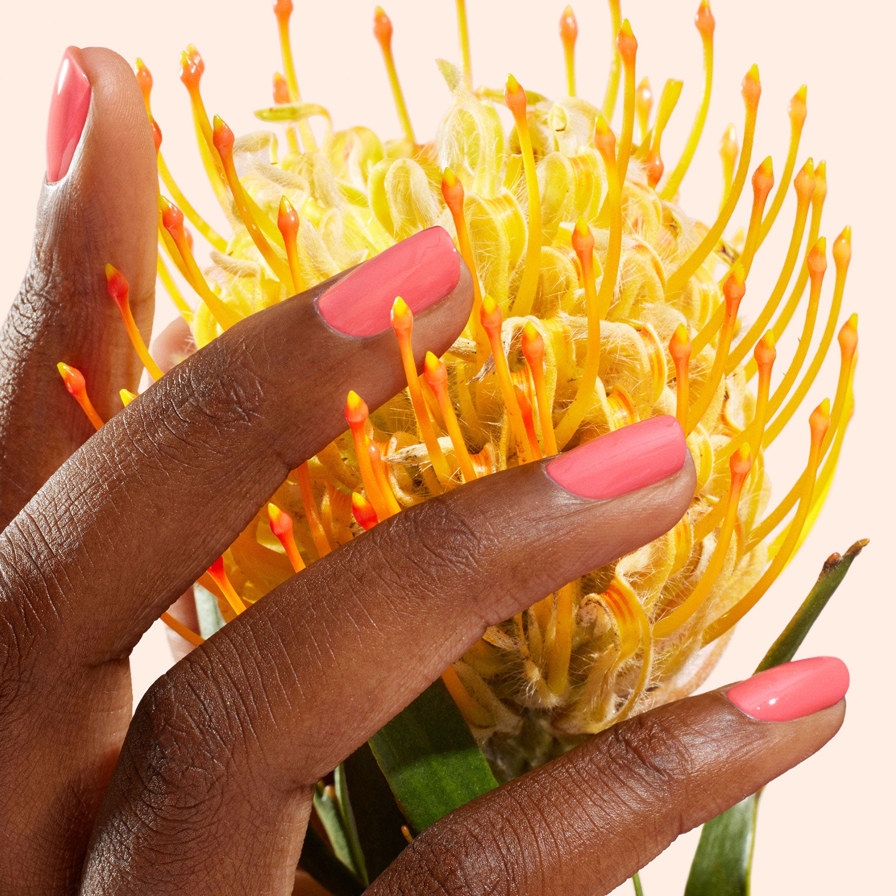 Green neglelak - Capucine